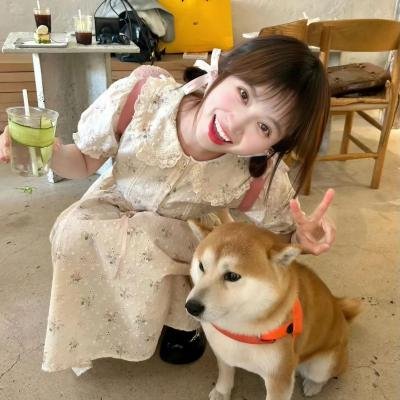 凝视动物的100种方式